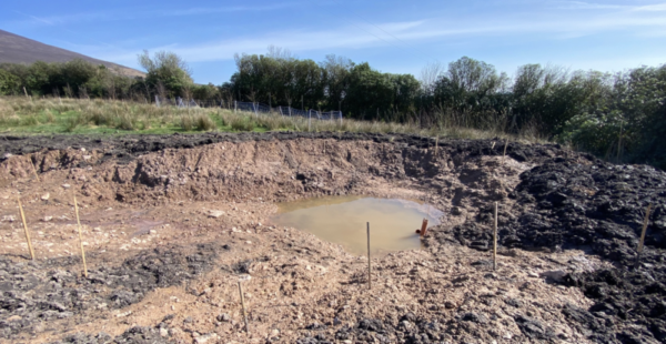 pond2